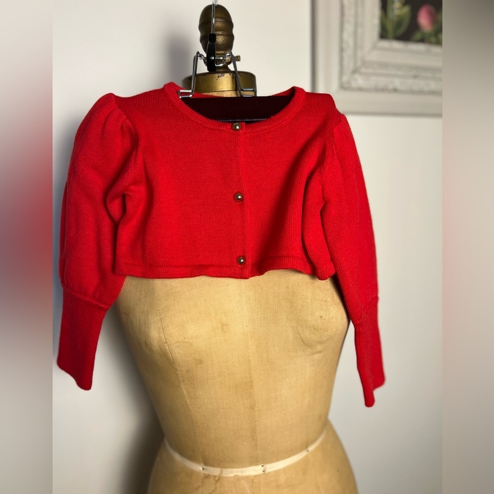 Jamie and Jack Christmas red cropped sweater 2T NWT